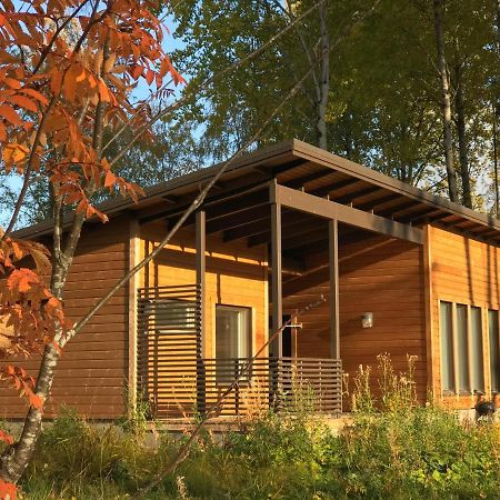 فيلا Wooddream Taipalsaari المظهر الخارجي الصورة